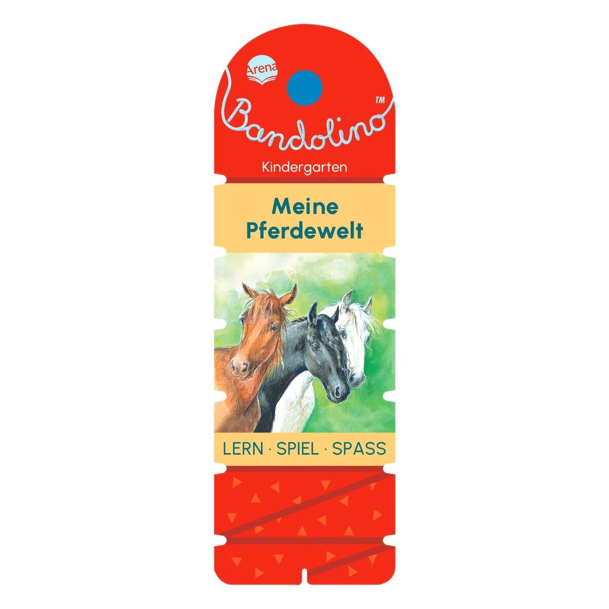 arena-bandolino-meine-pferdewelt-CE5B40C71.jpg