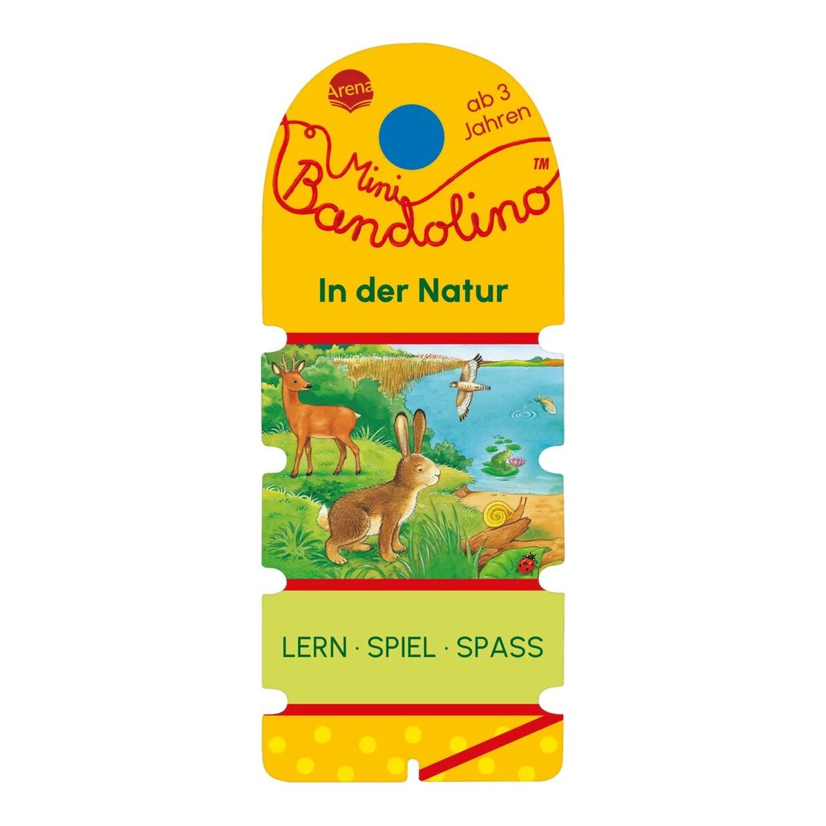 arena-mini-bandolino-in-der-7BFD77FD1.jpg