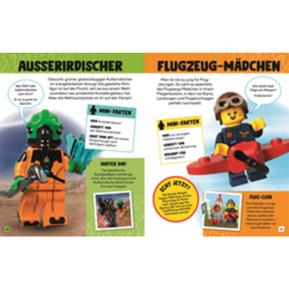 dk-verlag-lego-die-welt-6711FAB54.jpg