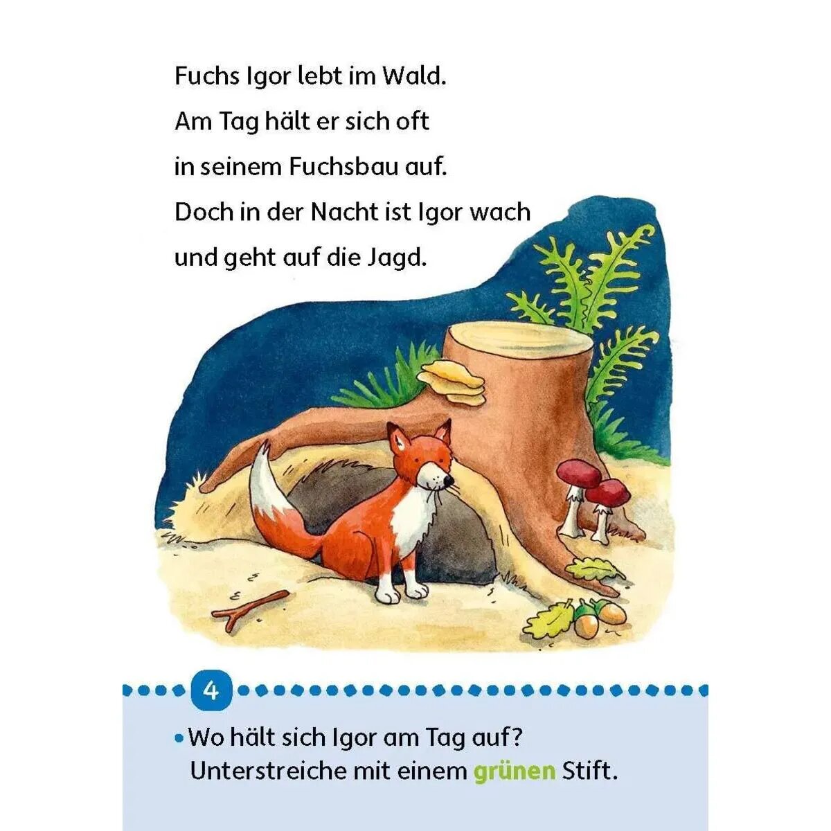 hauschka-verlag-erstleseblock--tiergeschichten-144689CB6.jpg