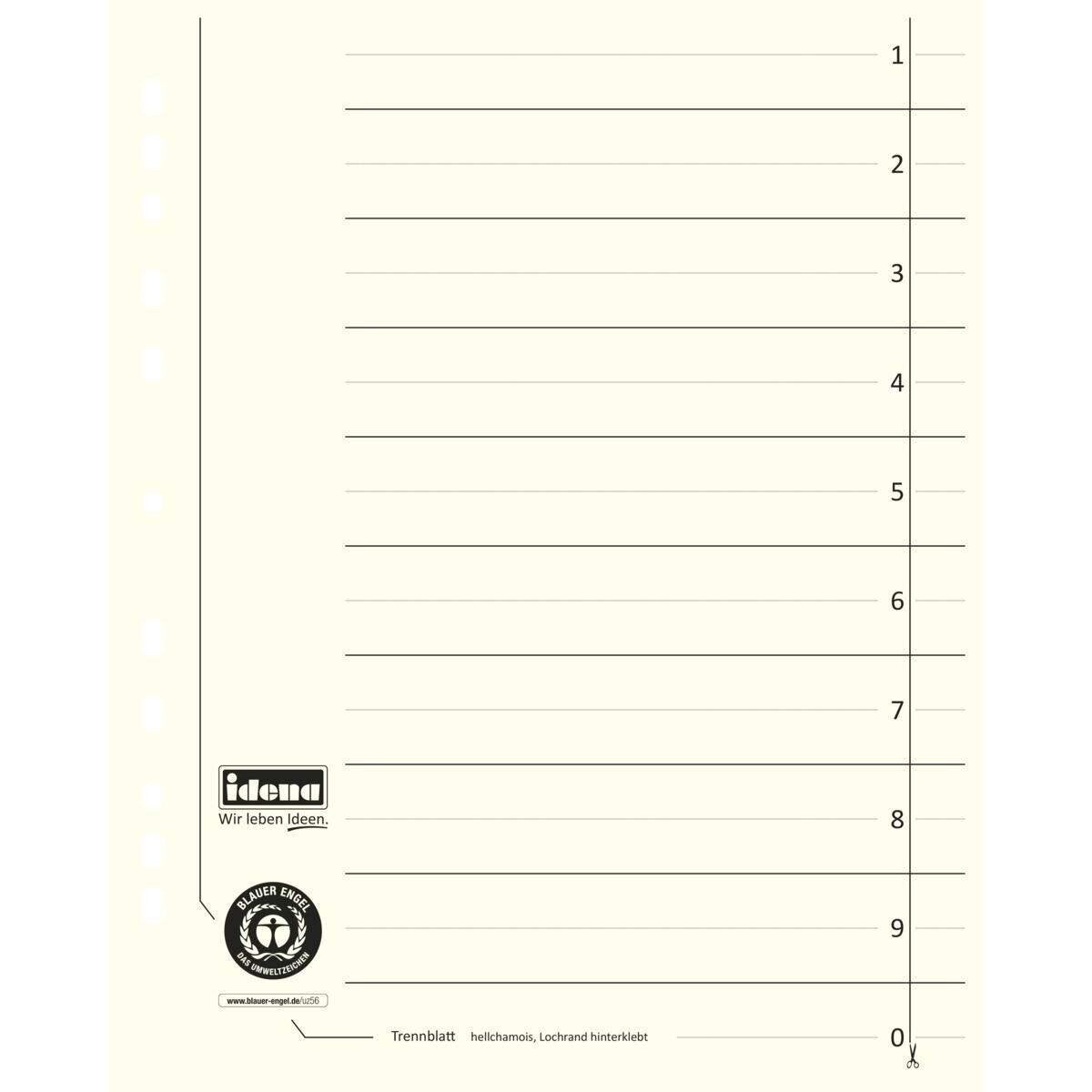 idena-trennblaetter-a4-beige-10-7BACFE222.jpg