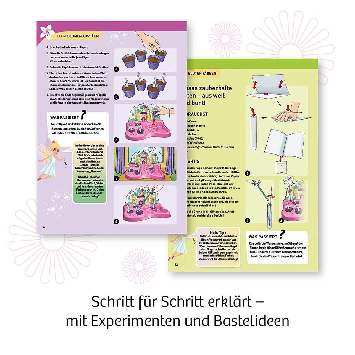kosmos-feen-garten---65163C4E5.jpg