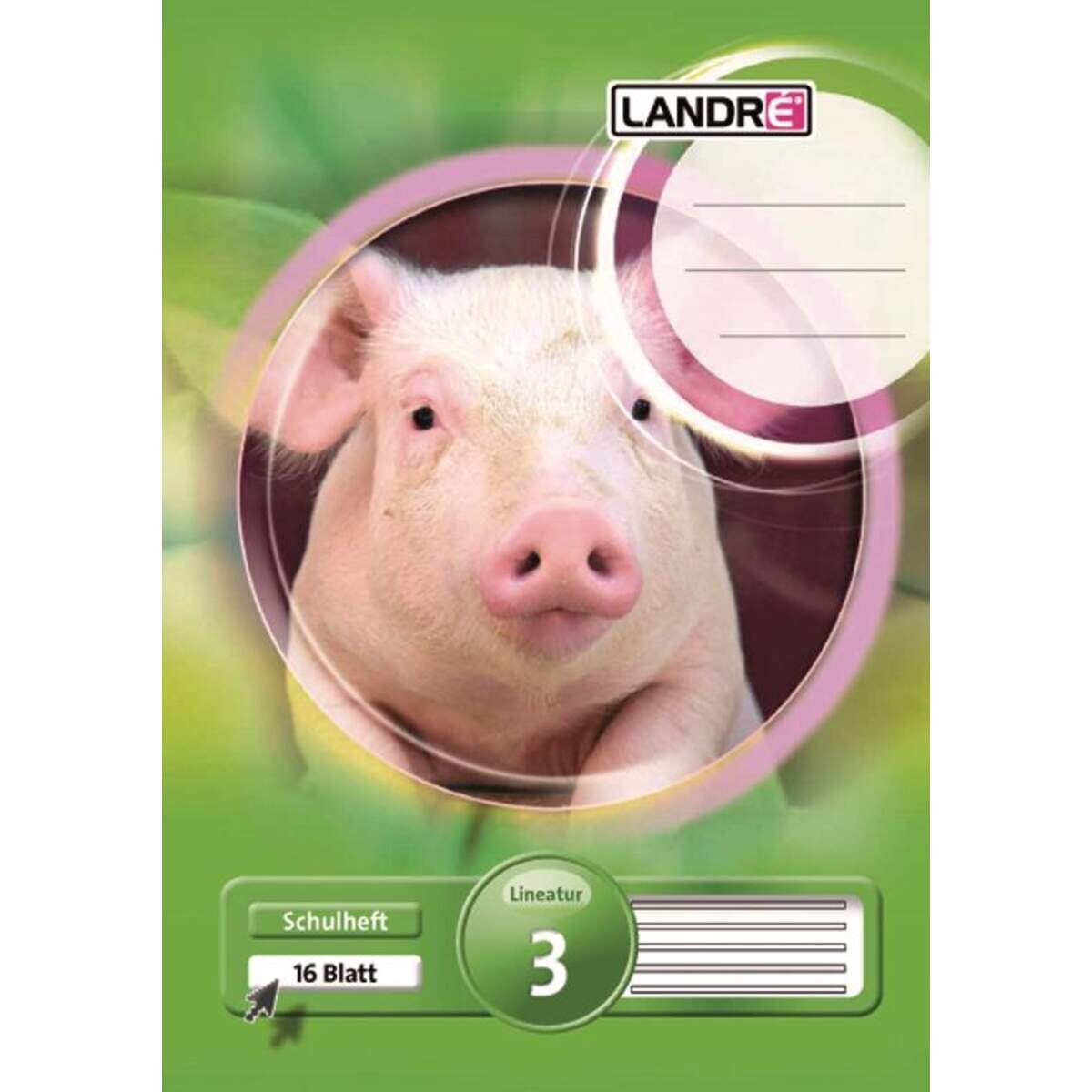 landre-schulheft-a4-liniert-liniatur-BF5259A83.jpg