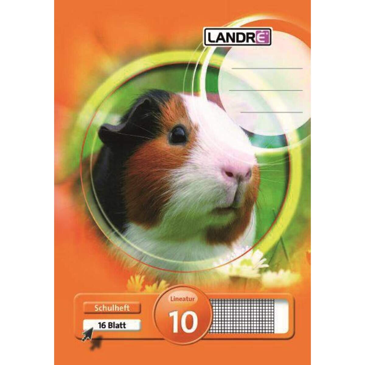 landre-schulheft-a5-kariert-liniatur-B1A4C33F3.jpg