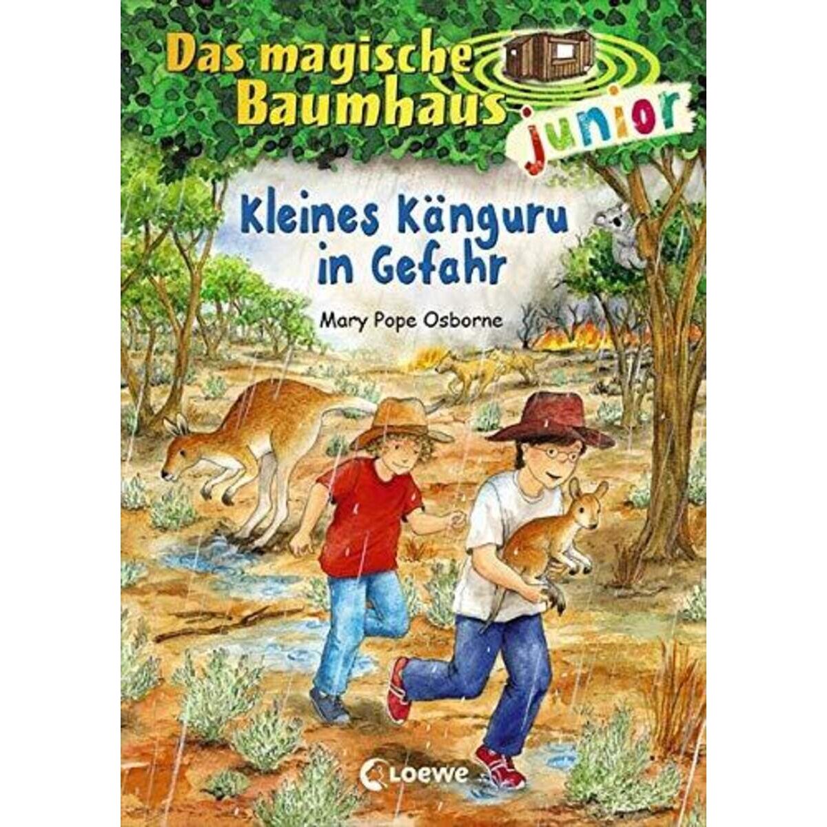 loewe-das-magische-baumhaus-junior-812D9CE81.jpg
