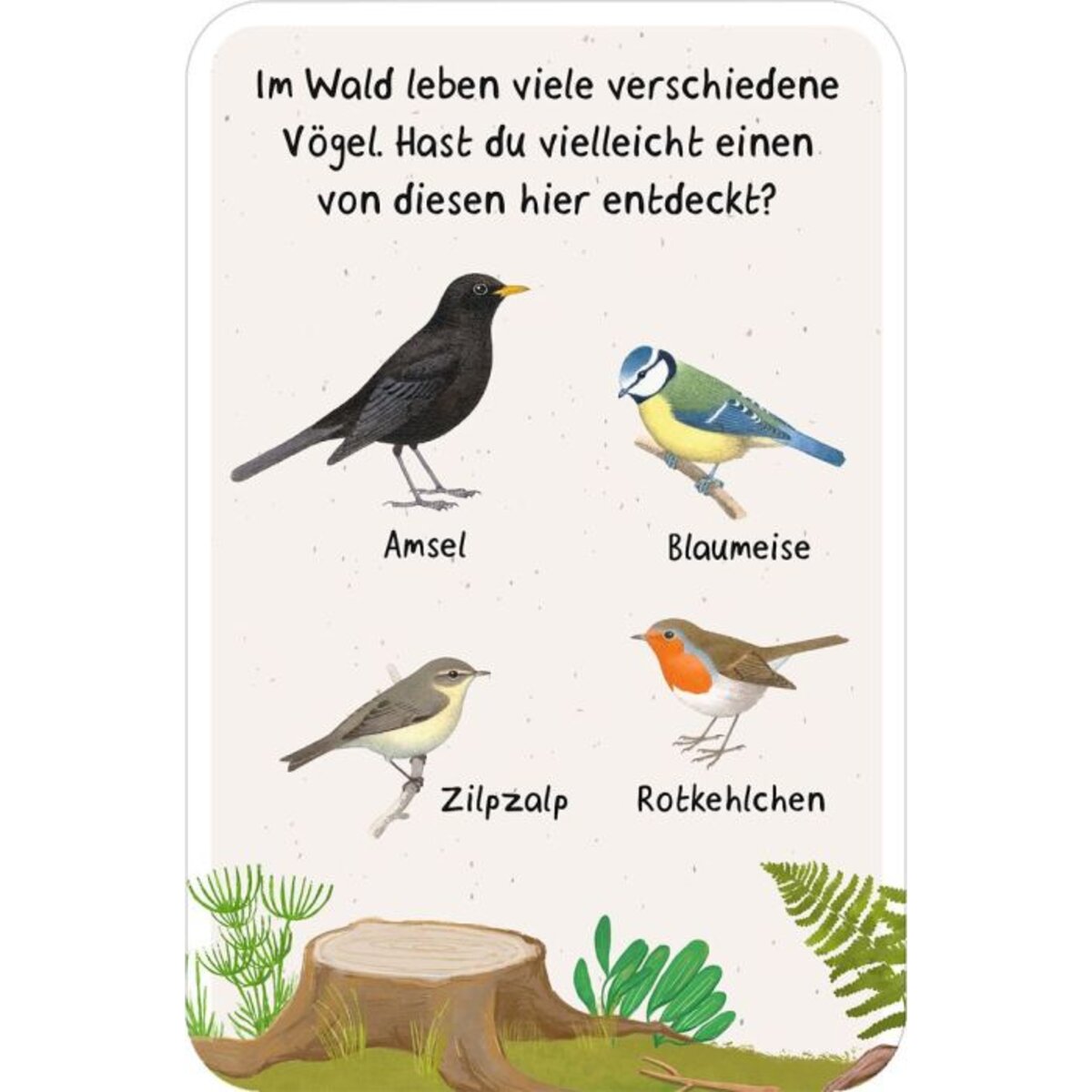 moses-30267-die-entdeckerkarten--41526F424.jpg