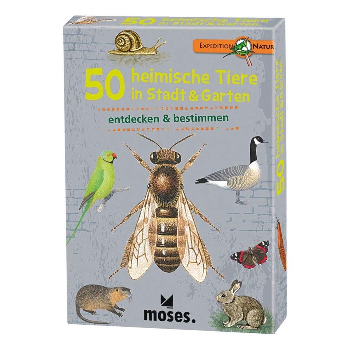 moses-expedition-natur-50-heimische-C3FE6A631.jpg