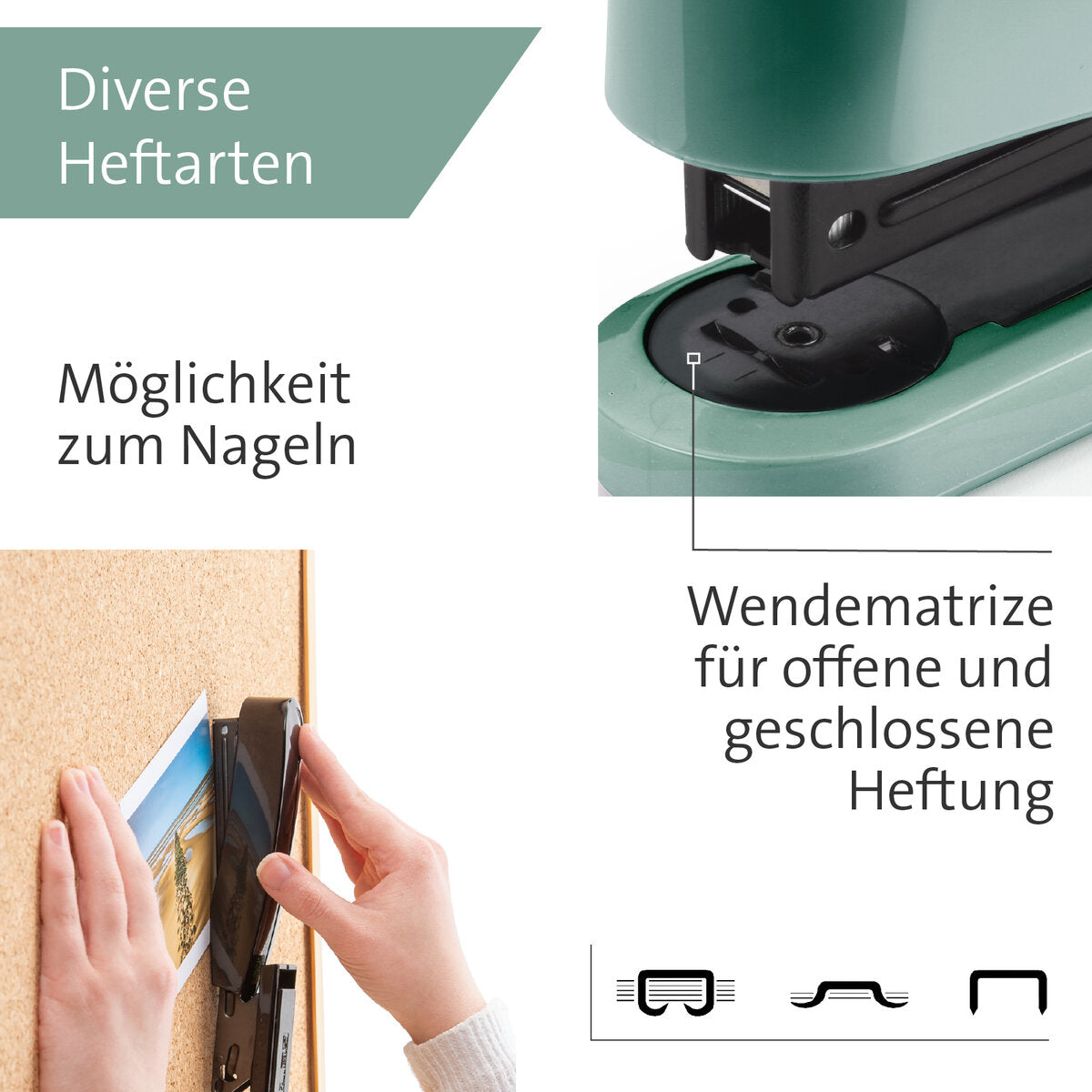 novus-b-2-color-id-66DFE56A5.jpg