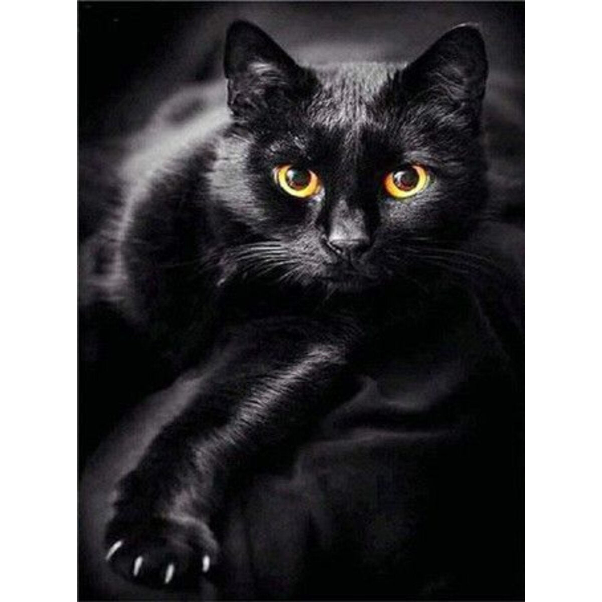 pracht-diamond-painting-schwarze-katze-48729ECF1.jpg