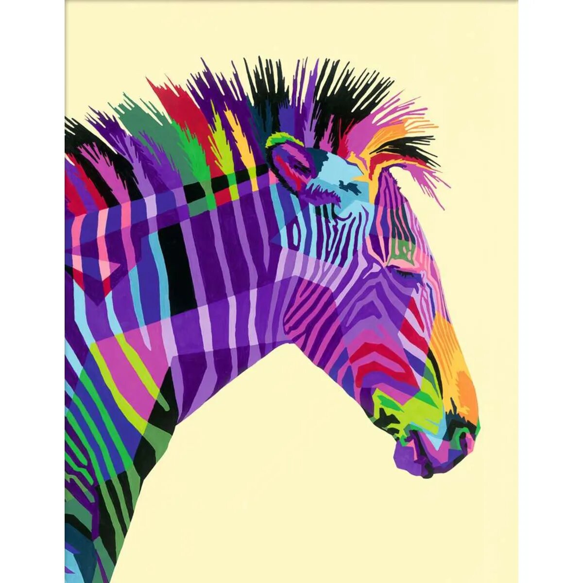 ravensburger-creart---funky-7AB6EC193.jpg