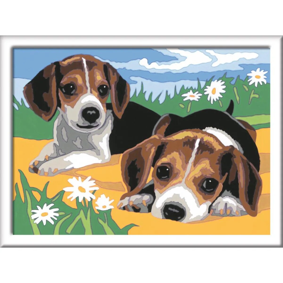 ravensburger-malen-nach-zahlen-jack-8EB464622.jpg