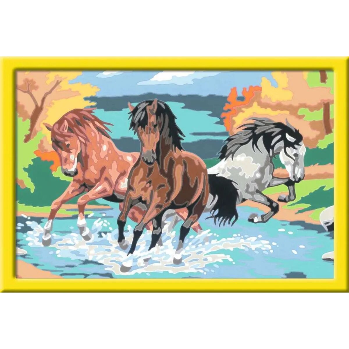 ravensburger-malen-nach-zahlen-stolze-A593E46C2.jpg