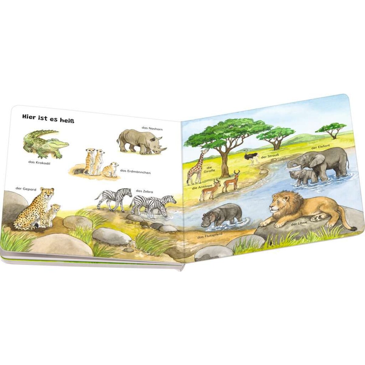 ravensburger-mein-allererstes-tierlexikon-4E2520694.jpg