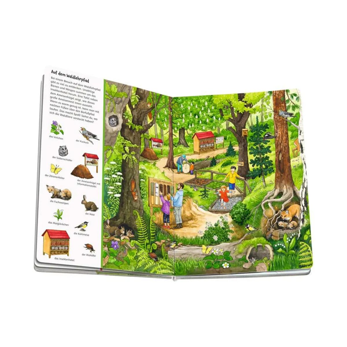 ravensburger-mein-sachen-suchen-riesenbilderbuch-BC9573485.jpg