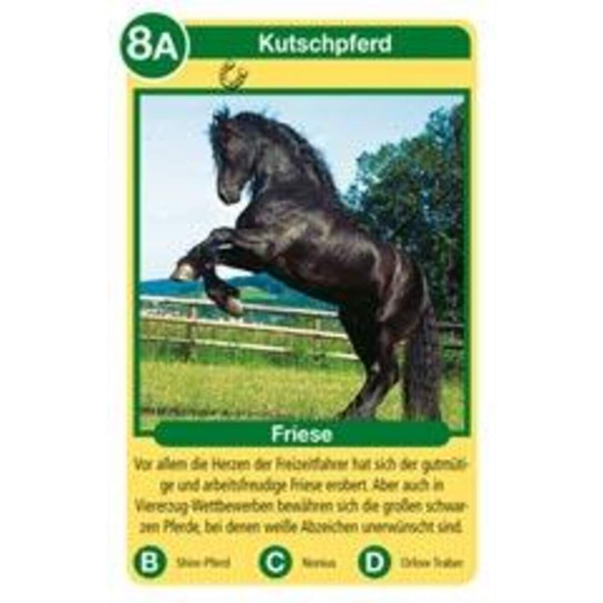 ravensburger-pferde-quartett-D84F61CB4.jpg