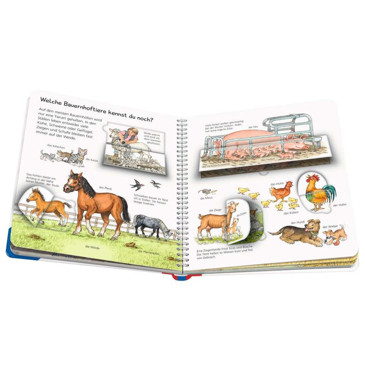 ravensburger-wieso-weshalb-warum-mein-9F732F2E4.jpg