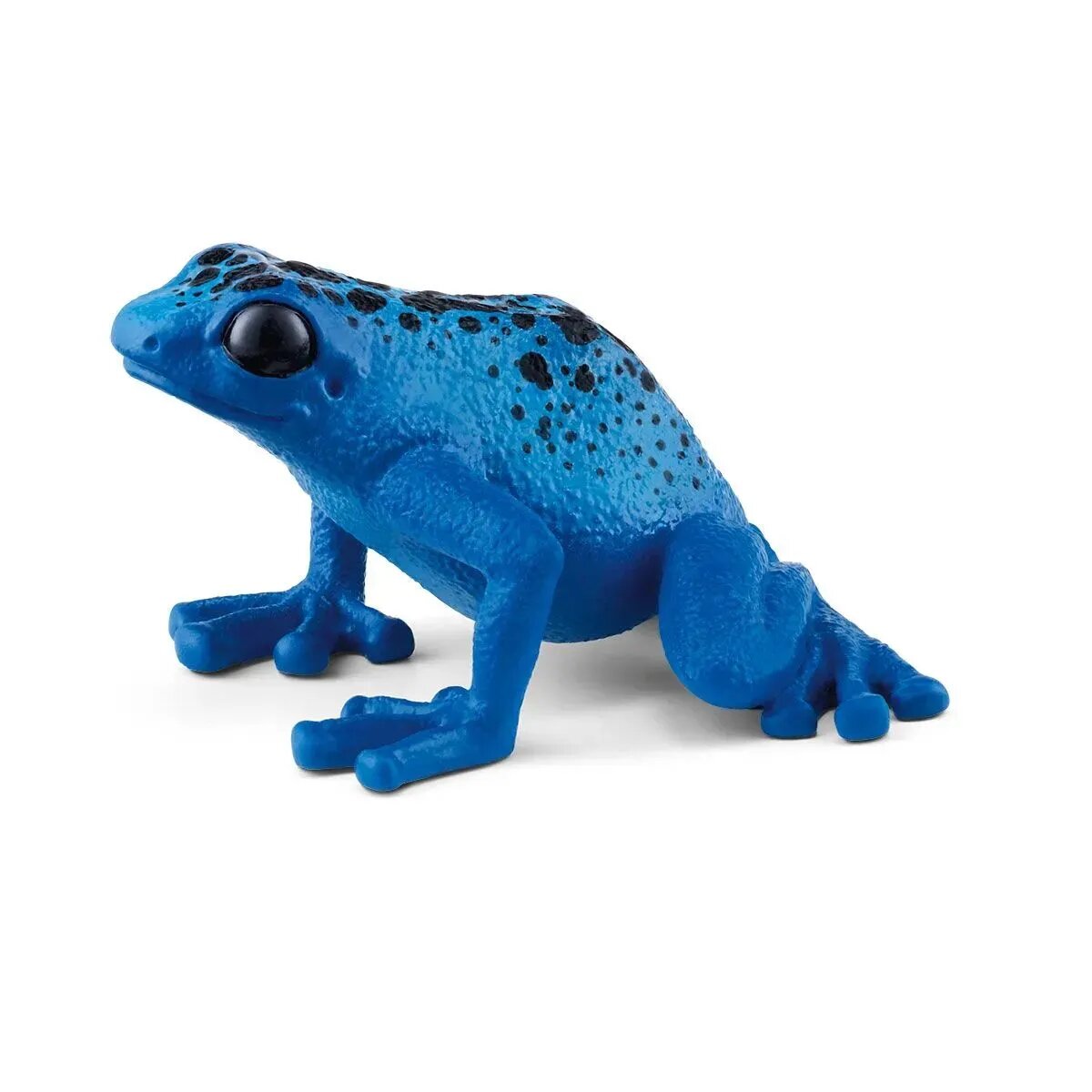 schleich-blauer-pfeilgiftfrosch-32-cm-310F23AA1.jpg