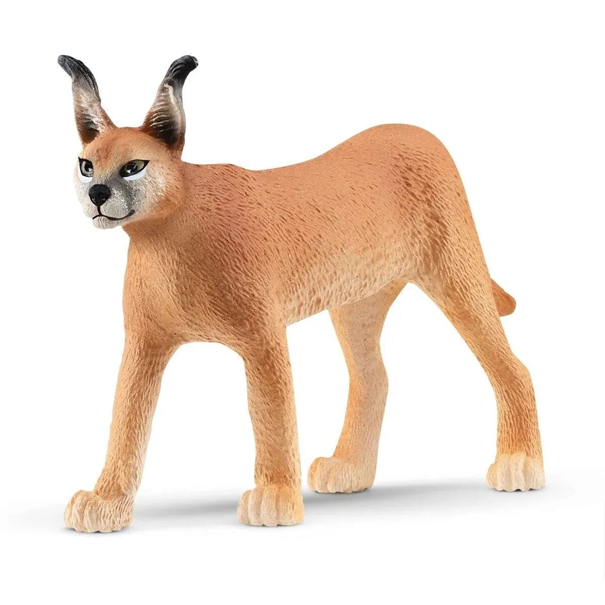 schleich-karakal-weibchen-6cm-BAAAA3311.jpg