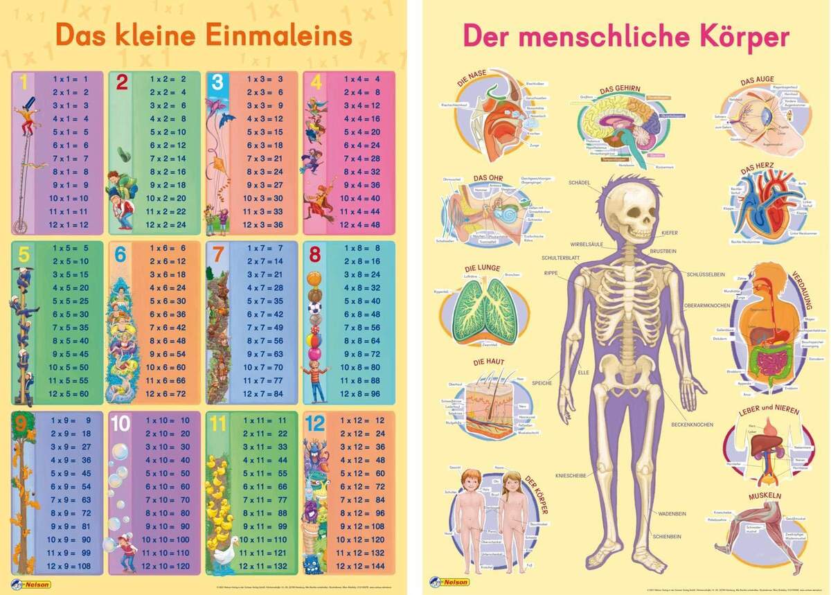 Nelson Mein Lernposter 2er Set - Einmaleins / Der menschliche Körper