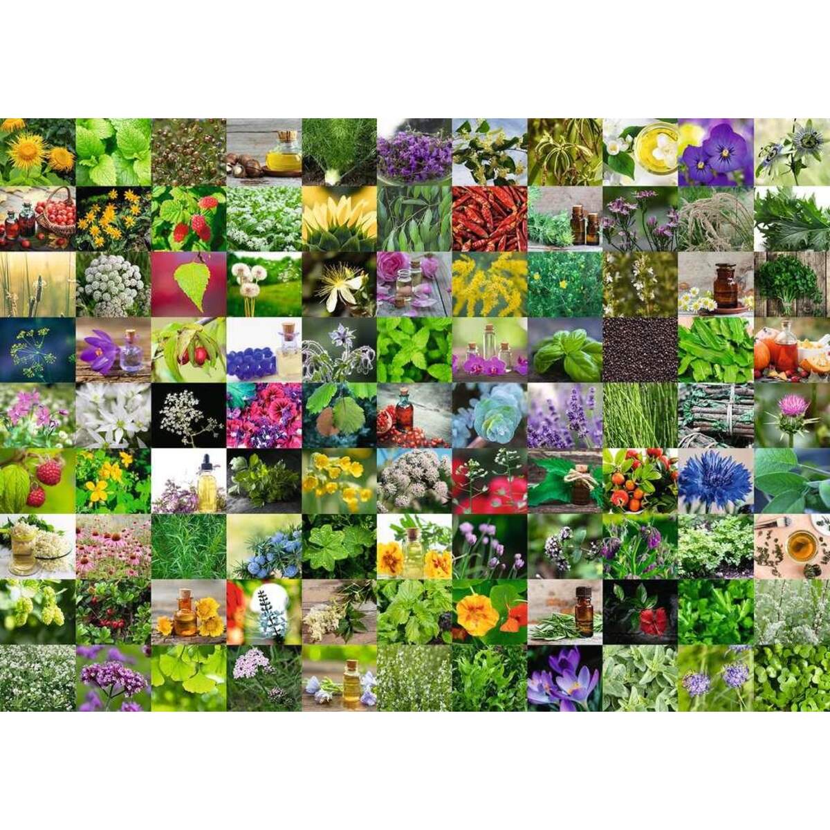 Ravensburger Puzzle 99 Kräuter und Gewürze, 1000 Teile