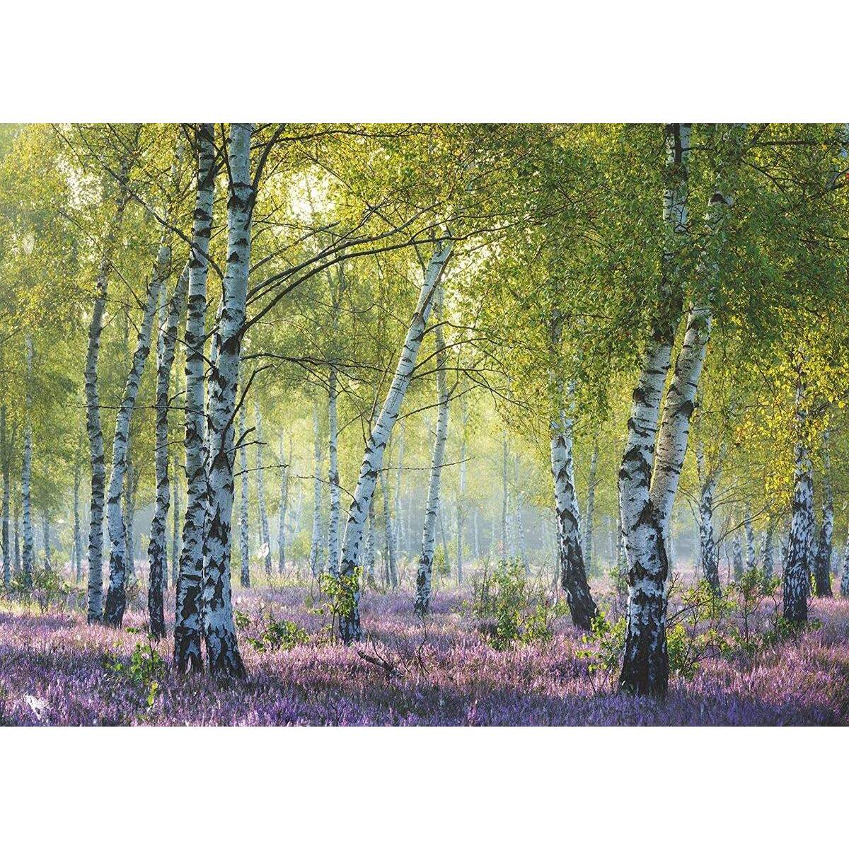 Ravensburger Puzzle Birkenwald, 1000 Teile