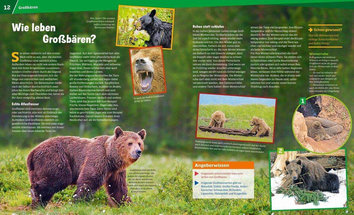 Tessloff WAS IST WAS 115 - Bären, Grizzly, Panda und Eisbär