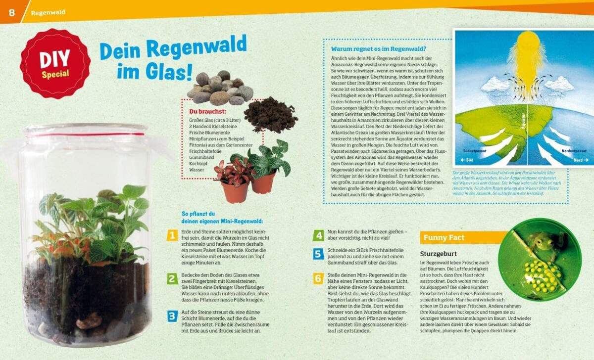 Tessloff WAS IST WAS Band. 90 - Regenwald
