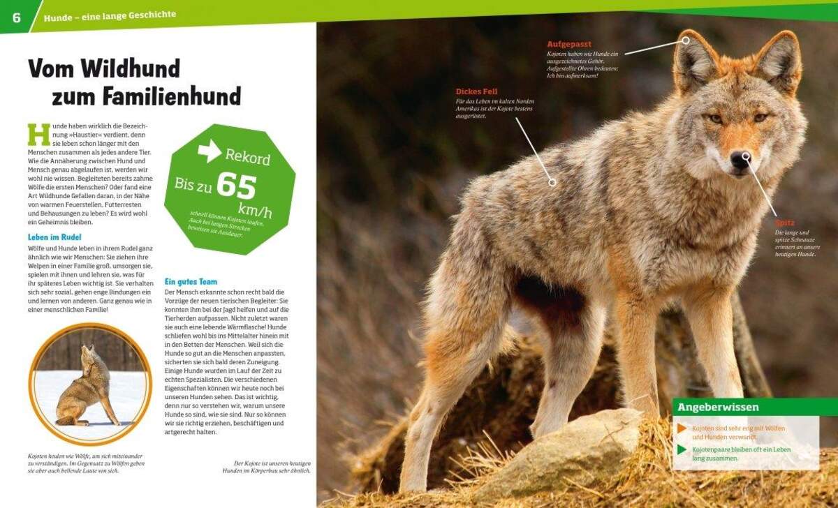 Tessloff WAS IST WAS Band 11 - Hunde: Helden auf vier Pfoten