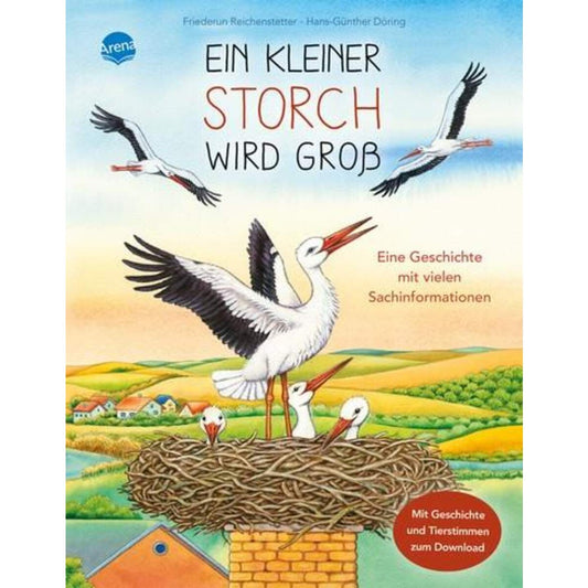 arena-ein-kleiner-storch-wird-2D4853151.jpg