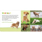 ars-edition-hoer-mal-rein-C374E88A4.jpg