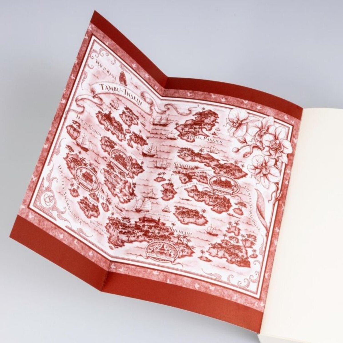 carlsen-verlag-der-fluch-der-61CAA1434.jpg