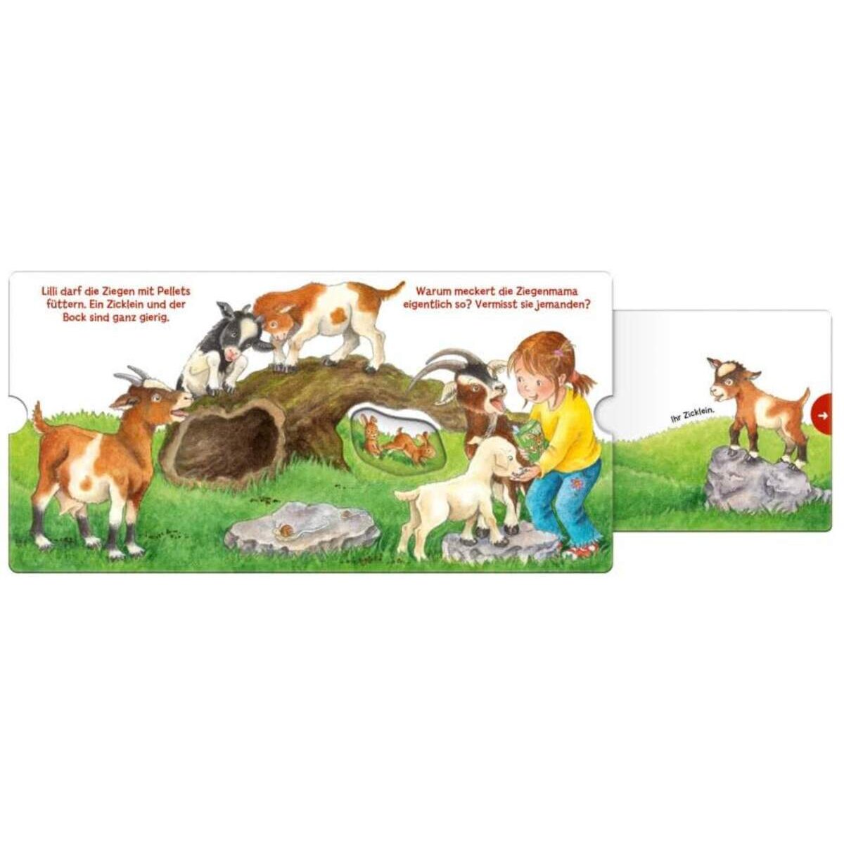 carlsen-verlag-mein-erstes-hoer-F6B36A003.jpg