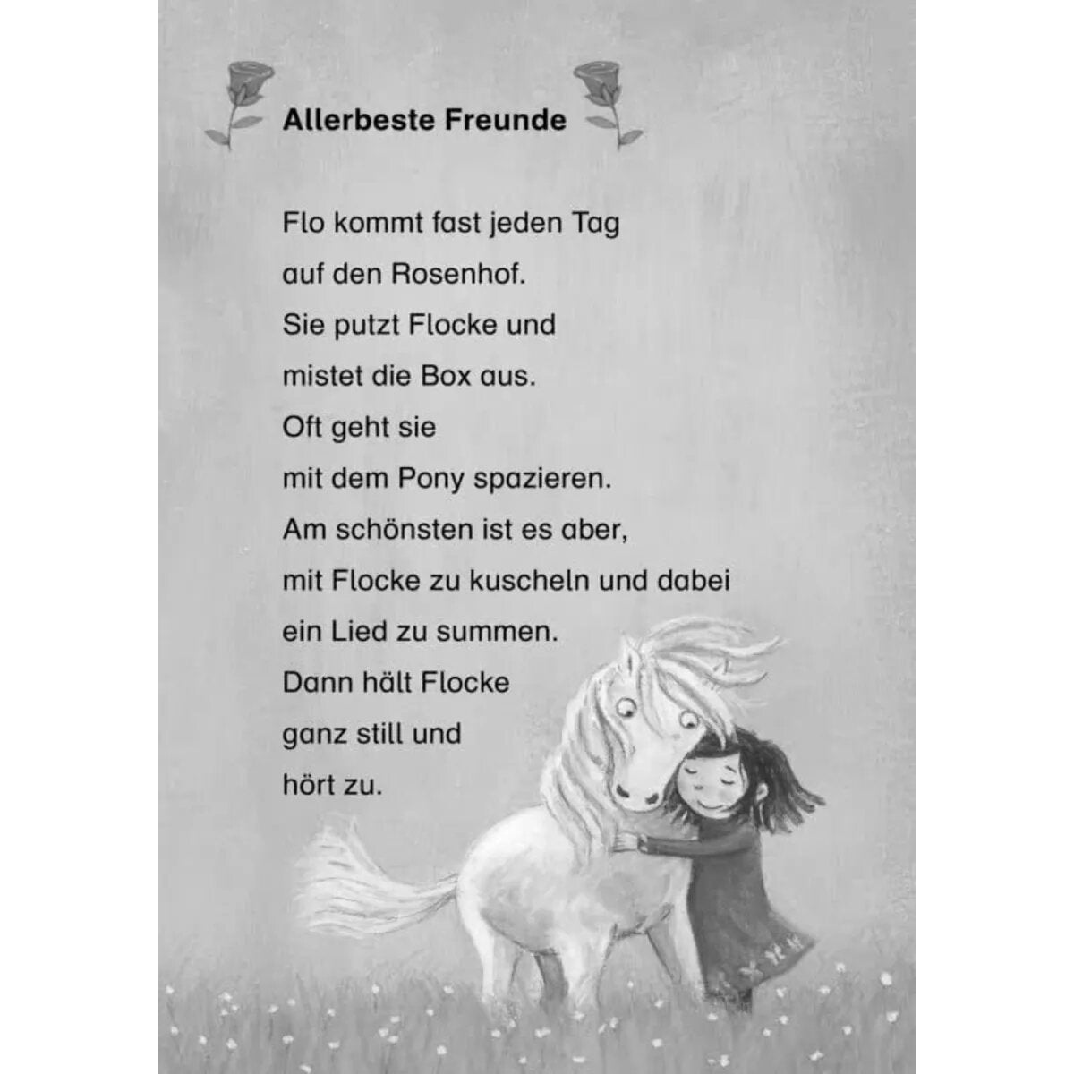 carlsen-verlag-pony-flocke-doppelband-9B30262E3.jpg