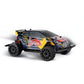 carrera-24ghz-red-bull-peugeot-AD3114F63.jpg
