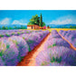 clementoni-puzzle----A5A97EE42.jpg