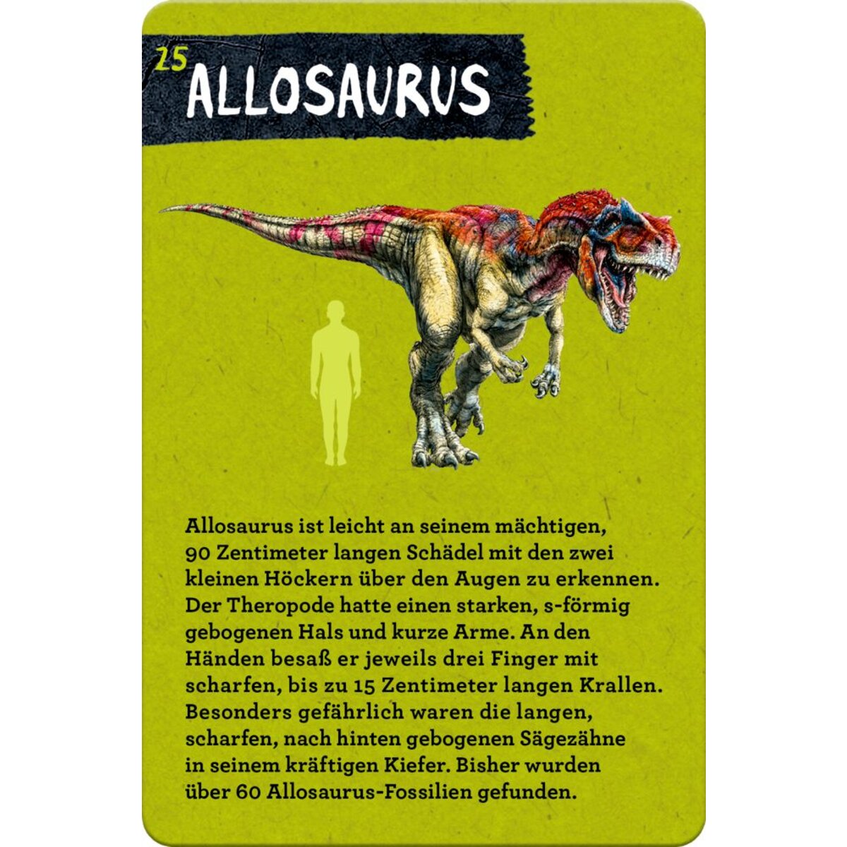 coppenrath-verlag-50-dinosaurier-nature-8A3DECA12.jpg
