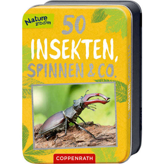 coppenrath-verlag-50-insekten-spinnen-86B682781.jpg