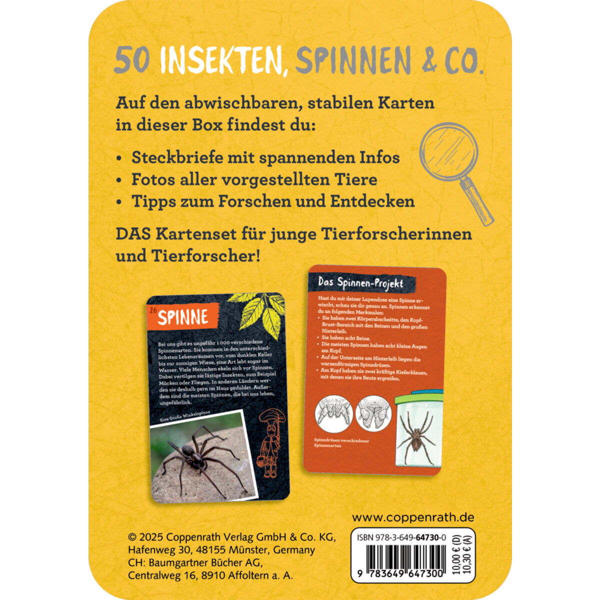 coppenrath-verlag-50-insekten-spinnen-86B682782.jpg