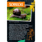 coppenrath-verlag-50-insekten-spinnen-86B682783.jpg