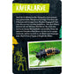 coppenrath-verlag-50-insekten-spinnen-86B682785.jpg