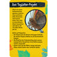 coppenrath-verlag-50-insekten-spinnen-86B682788.jpg