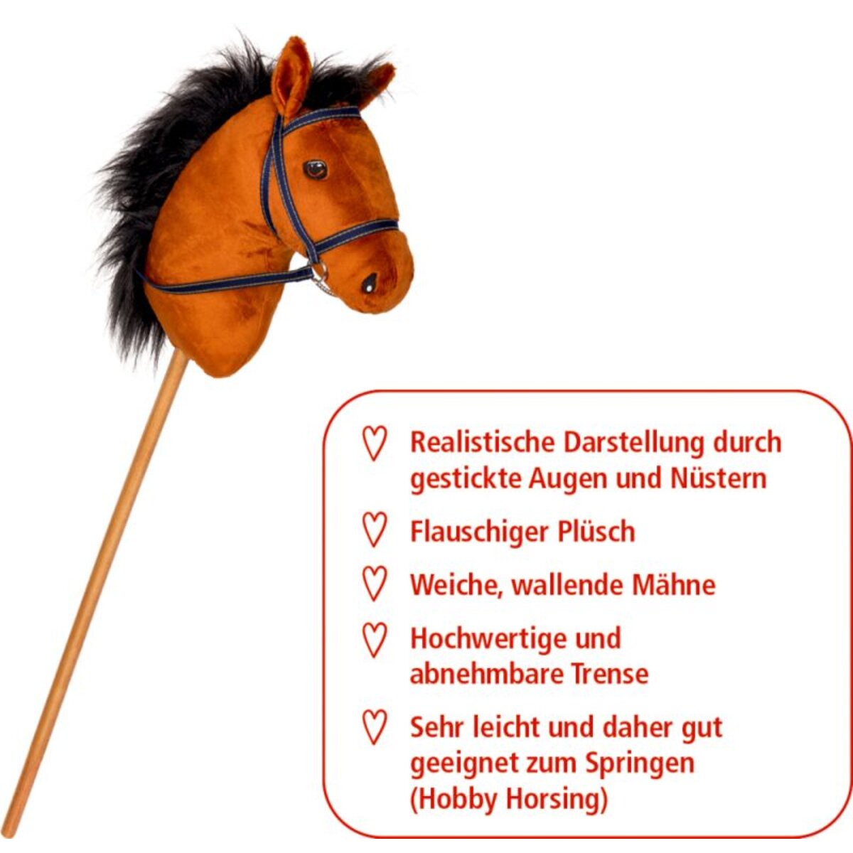 coppenrath-verlag-steckenpferd-dusty--706290E91.jpg
