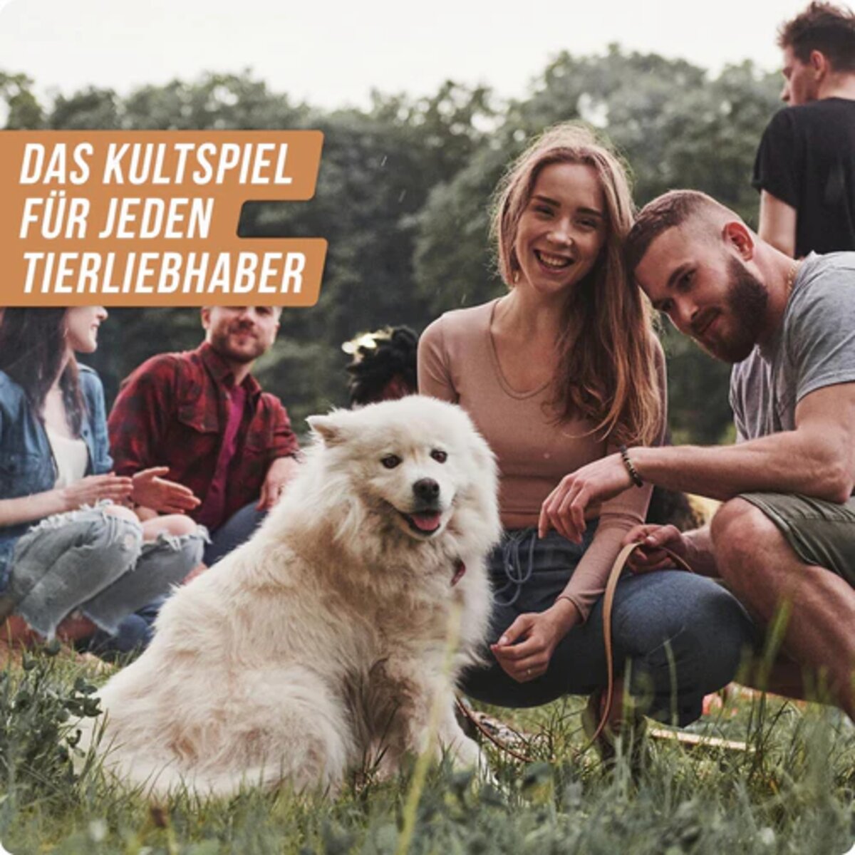 denkriesen-stadt-land-vollpfosten-spielblock-B5127F765.jpg