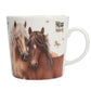 depesche-miss-melody-tasse-better-2853688A5.jpg