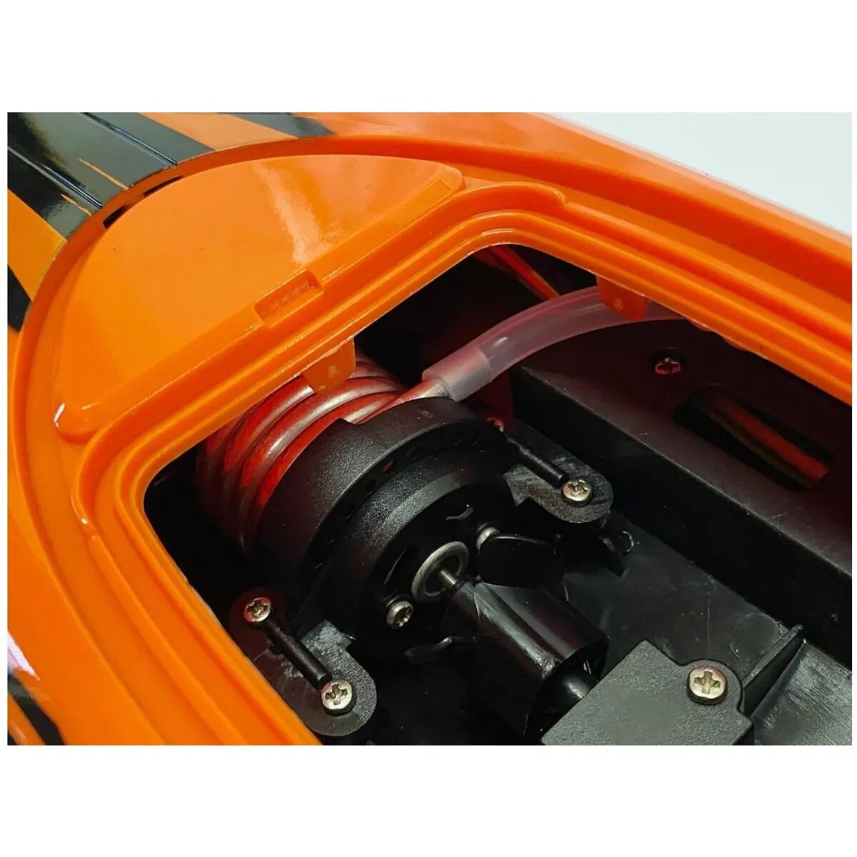 df-models-avanti-br-v2-FD8970253.jpg