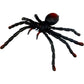 die-spiegelburg-biege-spinne-wildcool-576ECC082.jpg