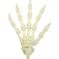 die-spiegelburg-fluoreszierende-skelett-hand-5CB60E371.jpg