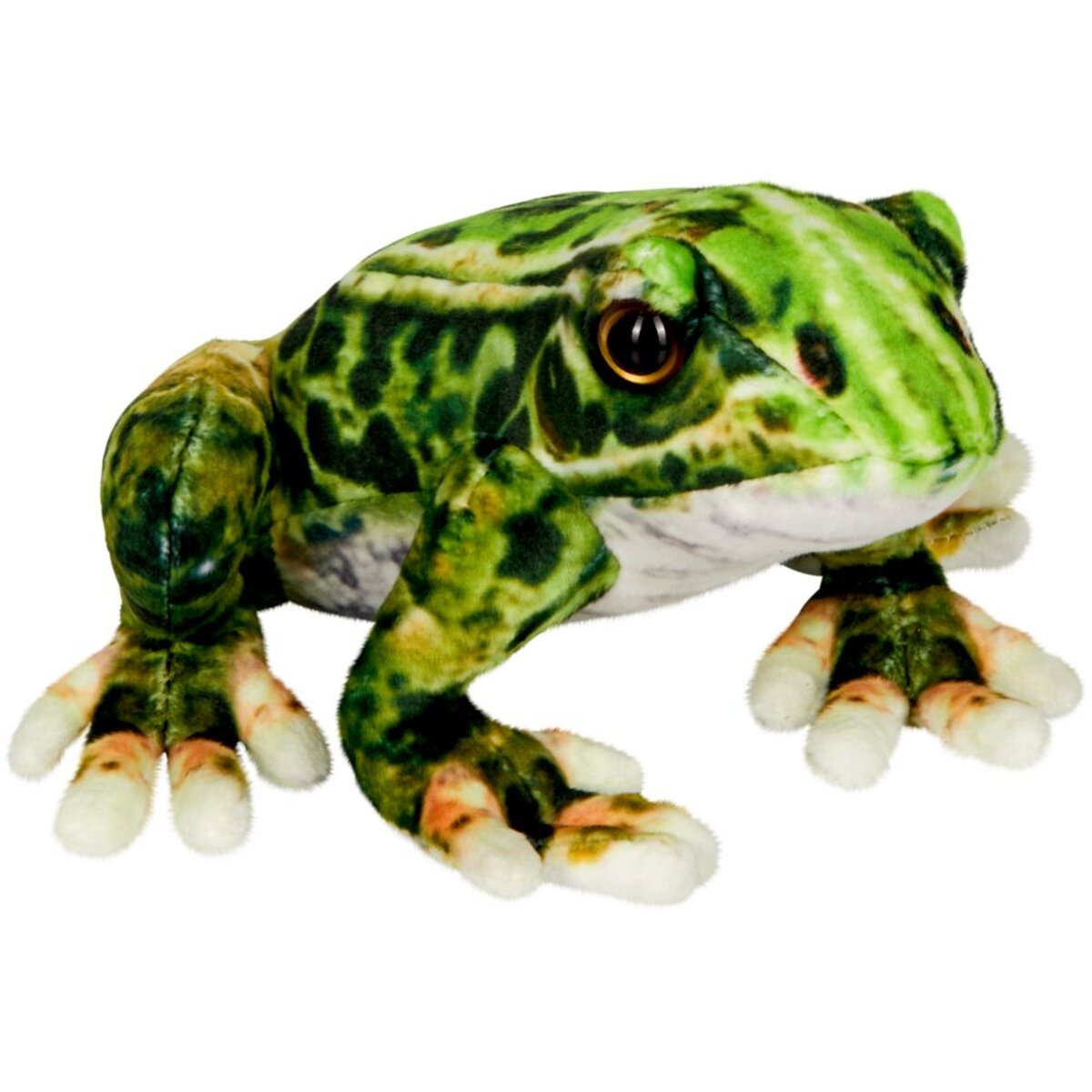 die-spiegelburg-frosch-nature-zoom-91ACF56C1.jpg