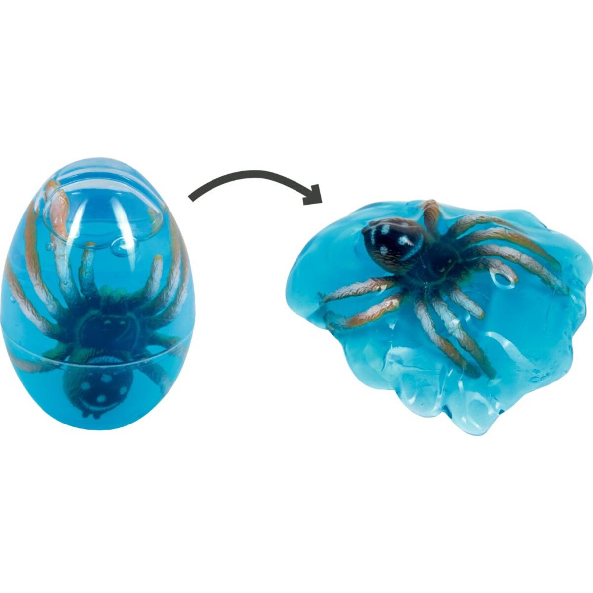 die-spiegelburg-glibberiges-spinnen-ei-90319D8B1.jpg