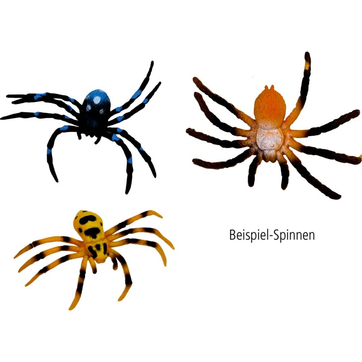 die-spiegelburg-glibberiges-spinnen-ei-90319D8B2.jpg